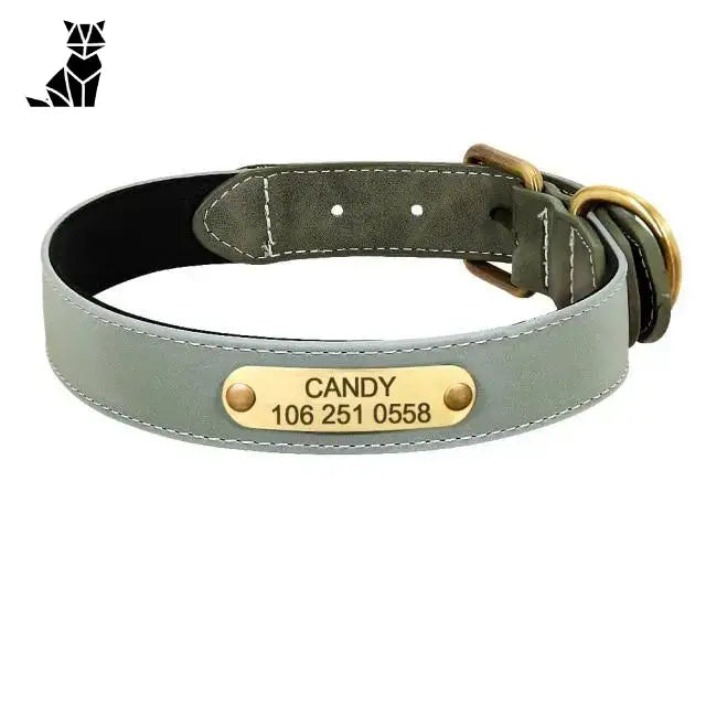 Collier Chien En Cuir Personnalisable