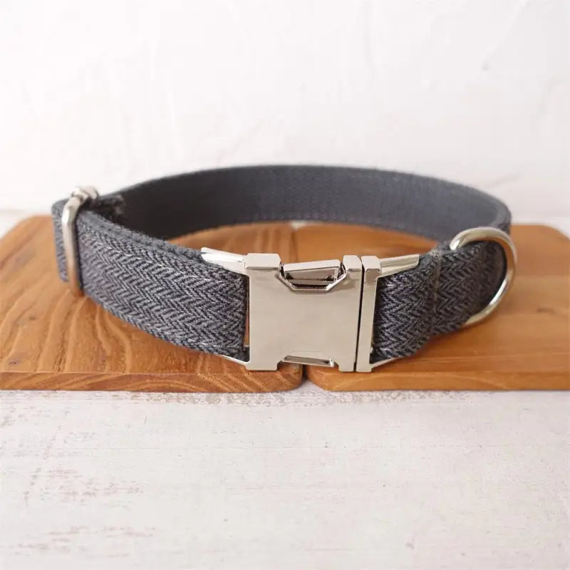 Collier pour Labrador