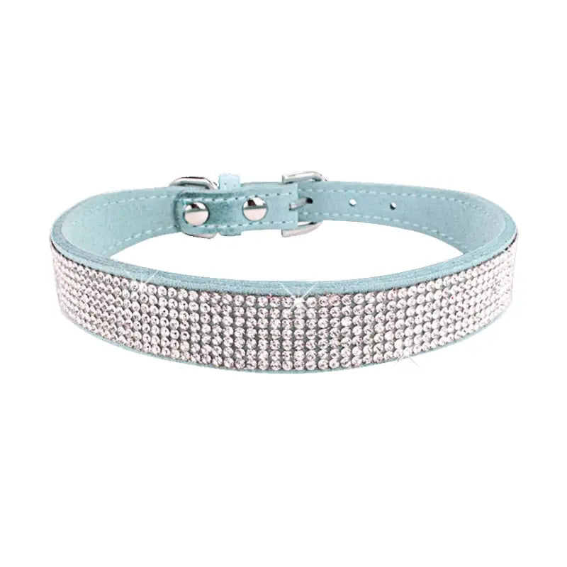 Collier pour Chihuahua
