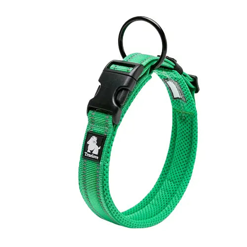 Collier Truelove pour chien