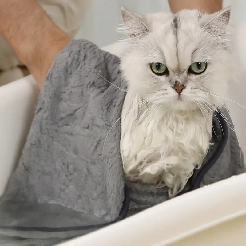 Chat dans la baignoire avec serviette séchage rapide pour un séchage rapide