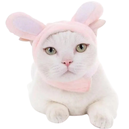 Bonnet pour Chat Oreilles de Lapinou Transparent Background