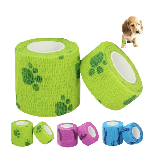 Bandage pour chien Transparent Background