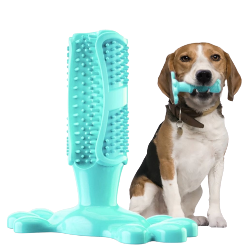 Brosse à dents pour chien Transparent Background