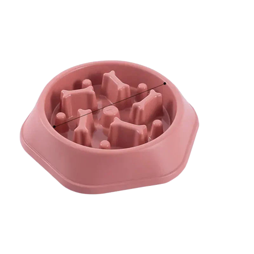 Bol anti - glouton Transparent Background