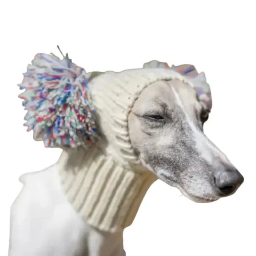 Adorable chien coiffé d’un bonnet à pompon douillet, parfait pour les promenades hivernales et les randonnées Transparent Background
