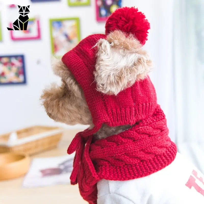 Bonnet pour Chien en Laine d’Hiver (avec écharpe)