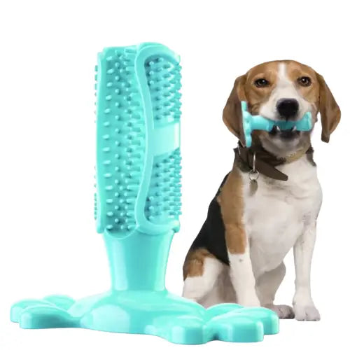Brosse à dents pour chien Transparent Background