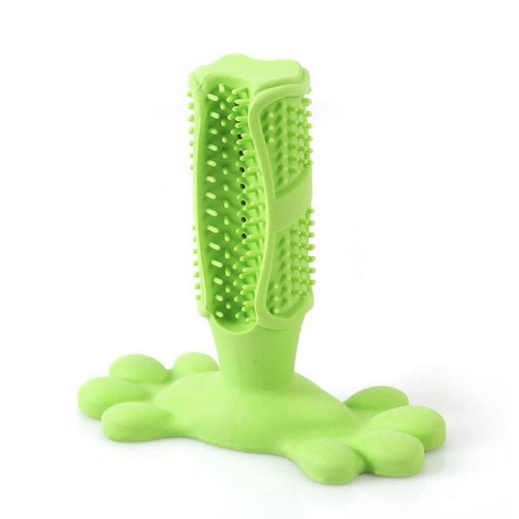 Brosse à dents pour chien