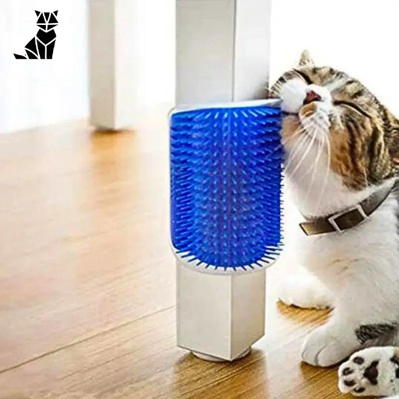 Brosse pour chat | ChaGratte™