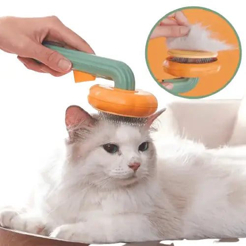 Brosse nettoyante Brushcat pour chat en action - Plus de poils partout ! Transparent Background