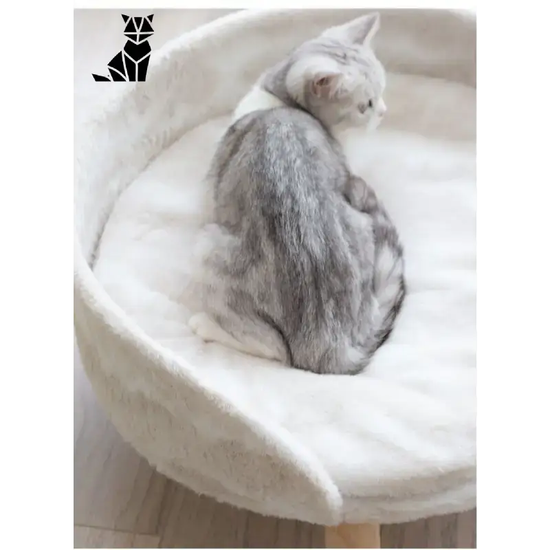 Canapé Douillet Pour Chats Jusqu’à 8 Kg Idéal Pour Le Repos - Grande Taille