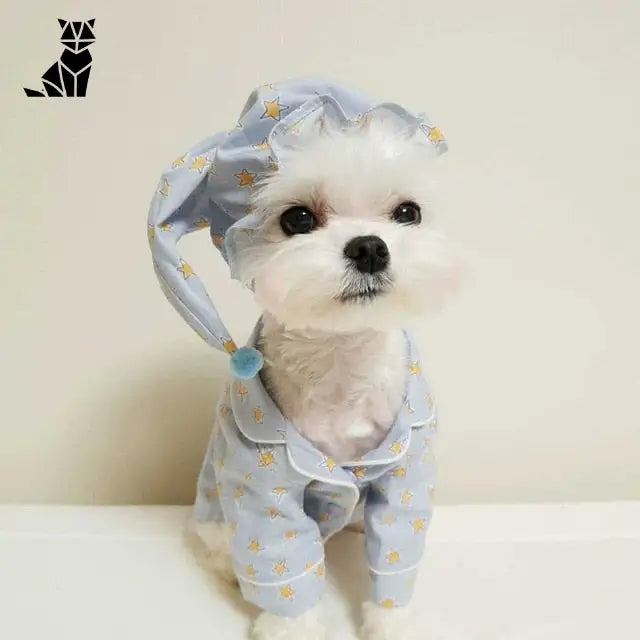 Chapeau pour Chien & Pyjama de Nuit