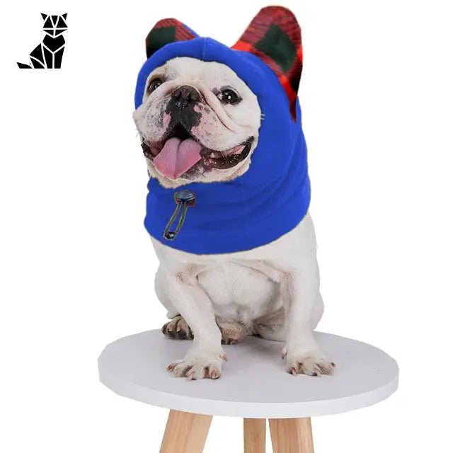 Bonnet pour Chien Intégral Anti - bruit