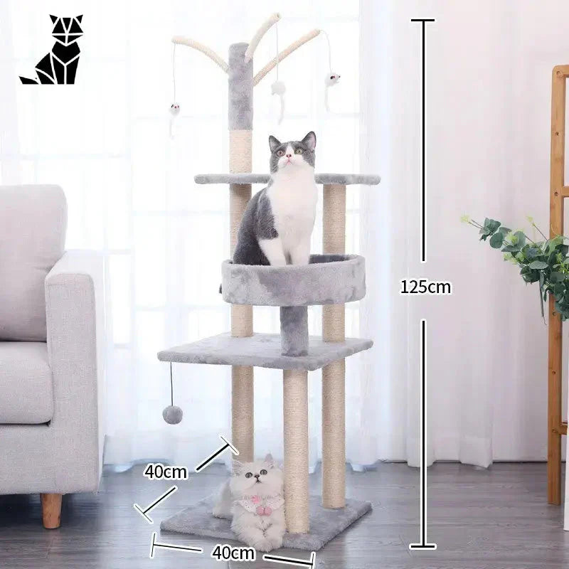 Gros plan d’un chat sur Catree arbre à chat, assurant le bonheur et le confort de votre chat