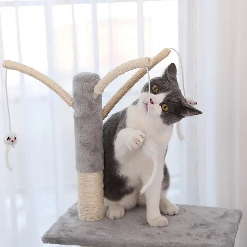 Cat on Catree arbre à chat jouant avec un jouet ; le bonheur ultime du chat
