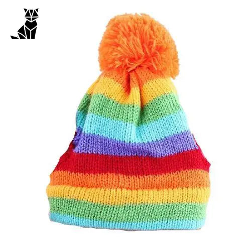 Chapeau pour Chat Hiver Coloré (chapeau + écharpe