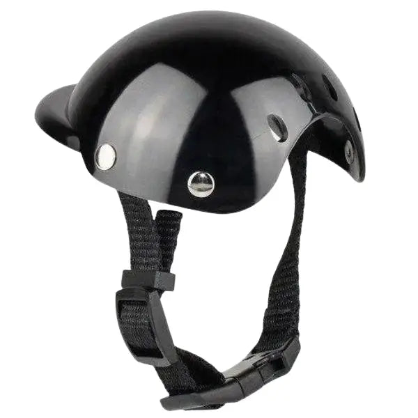 Chapeau pour Chien Protection Moto Transparent Background