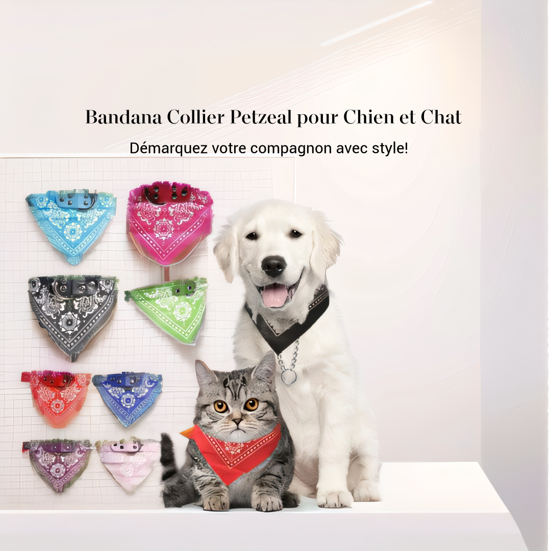 Collier bandana pour chien et chat