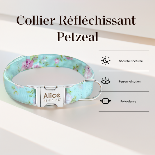 Collier Chien Personnalisable