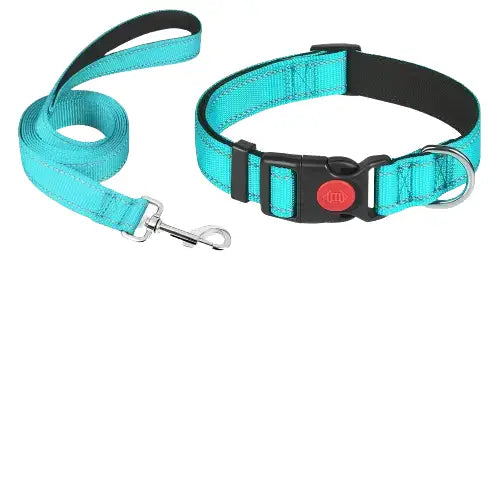 Collier pour Bouledogue Français Transparent Background