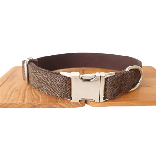 Collier pour Labrador Transparent Background