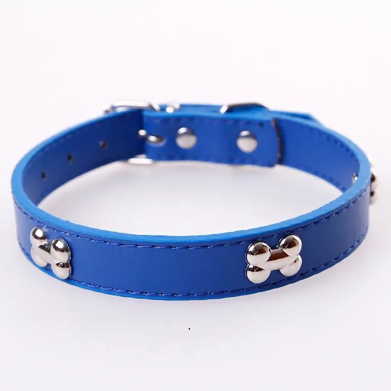 Collier pour Beagle