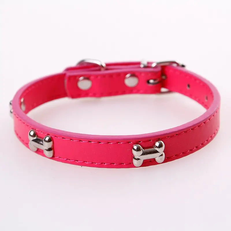 Collier pour Beagle