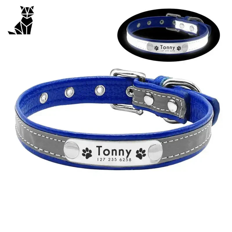 Collier pour chien et chat lumineux