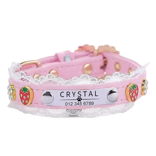 Collier pour chat pas cher personnalisé Transparent Background