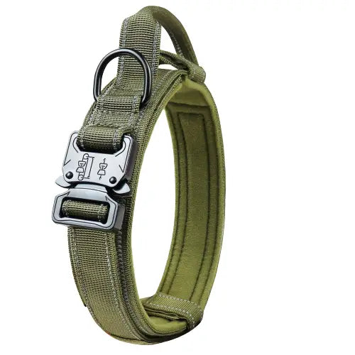 Collier pour Rottweiler