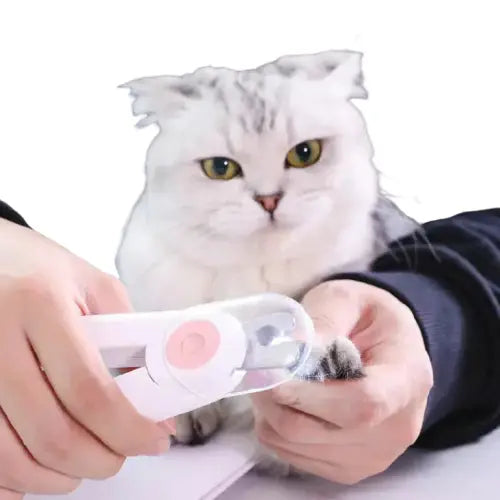Une personne nourrit un chat avec un coupe-griffes pour chat à lumière intégrée pour une coupe précise Transparent Background