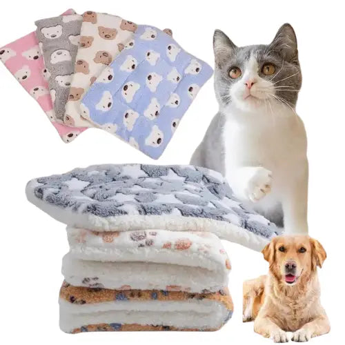 Chat et chien sur une couverture en flanelle douce pour un confort et une chaleur optimaux Transparent Background