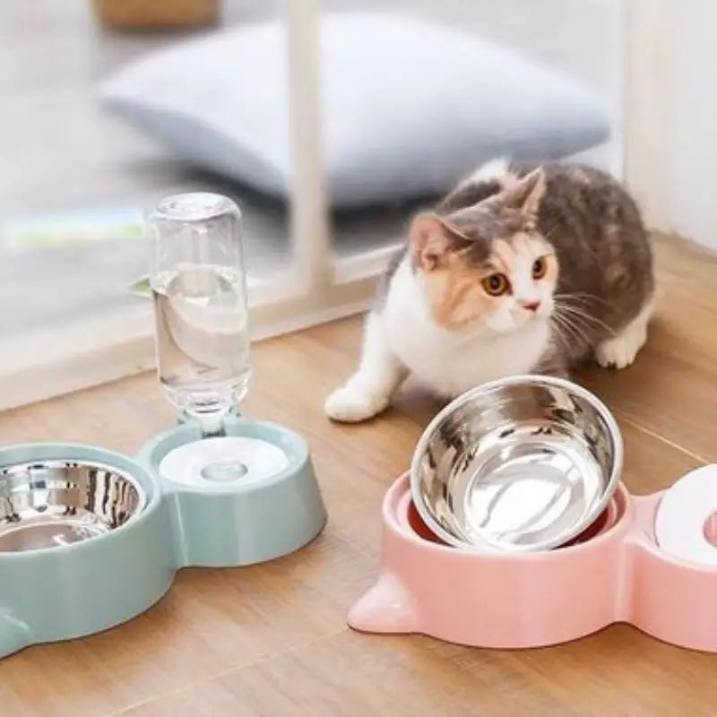 Chat observant l’eau dans un double bol : Nourriture et eau - Idéal pour les chiens et les chats