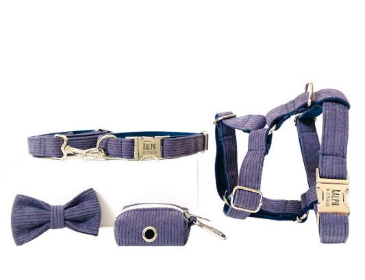 Kit Complet Chien Personnalisé Velours Côtelé Lavande Transparent Background