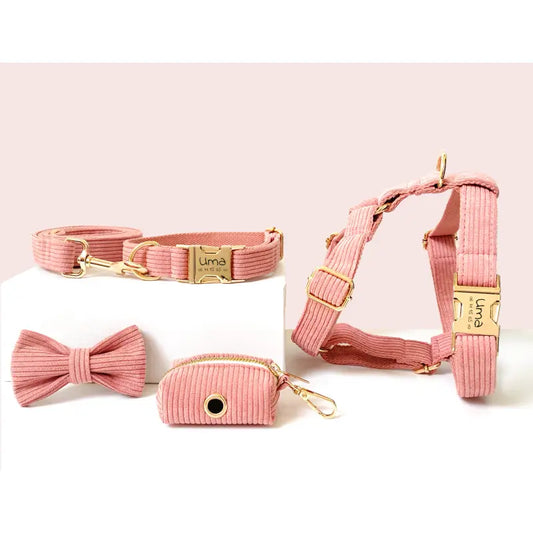Kit Complet Chien Personnalisé Velours Côtelé Corail