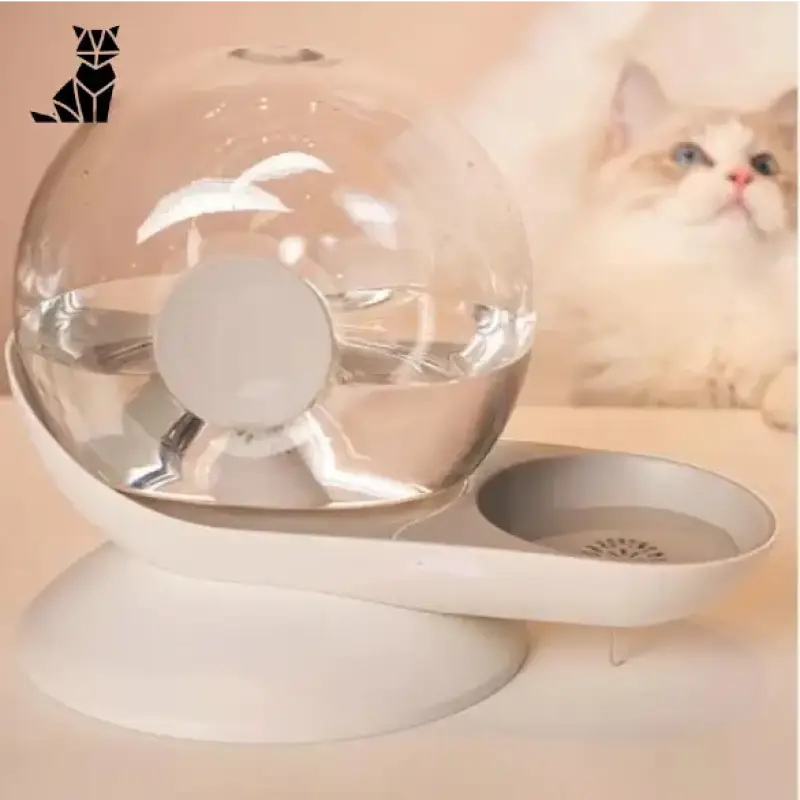 Fontaine à Eau Fraiche Pour Chat Avec Filtre à Charbon écologique