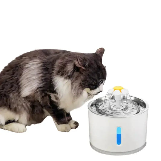 Chat s’abreuvant à la fontaine d’eau inoxydable pour chats en acier inoxydable fontaine Transparent Background