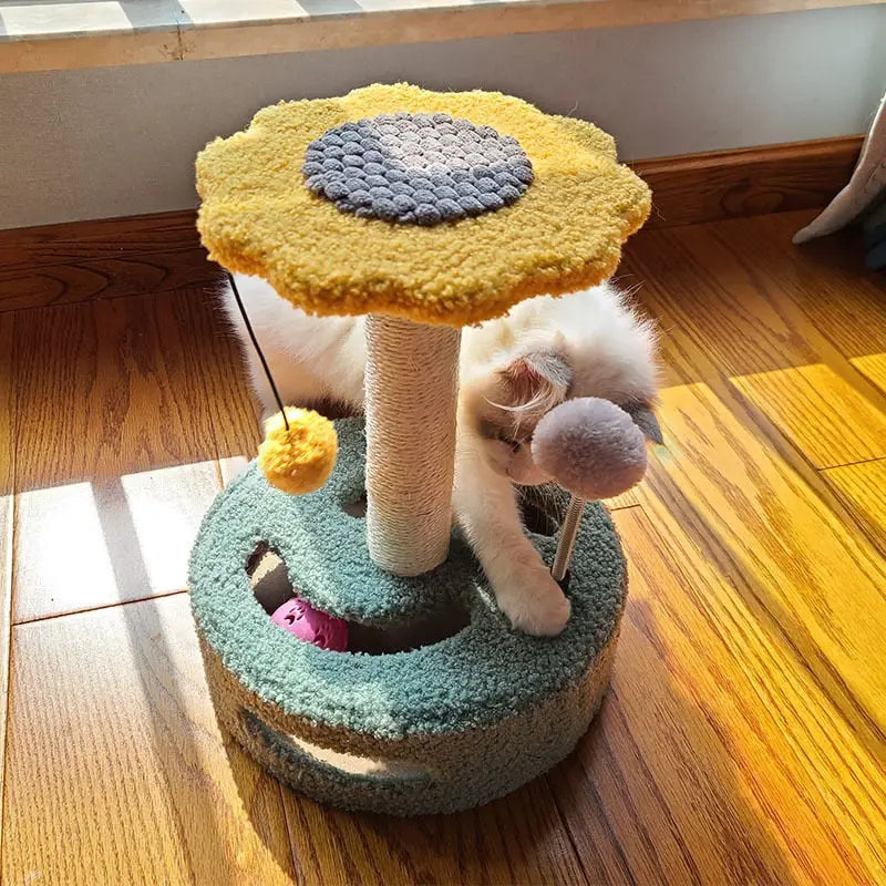Un chat assis sur un arbre à chat - Cat Scratching Post, tournesol ajoute, touche amusante, moyen naturel