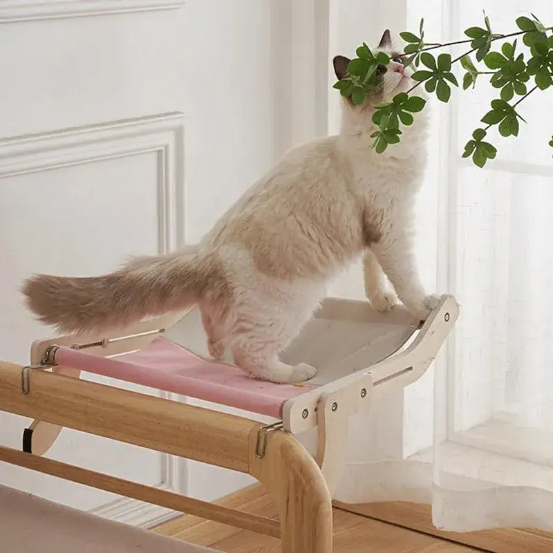 Chat profitant d’un hamac suspendu, assis sur une chaise en bois avec une plante - hamac suspendu pour animaux de compagnie