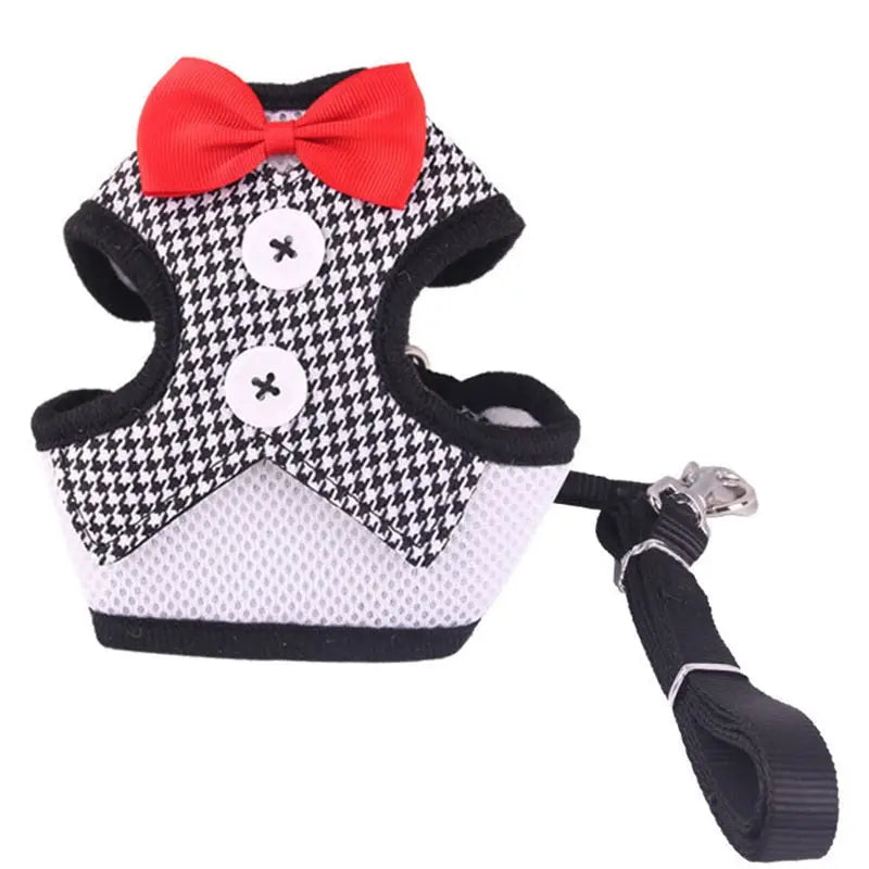 Harnais pour Bichon Maltais