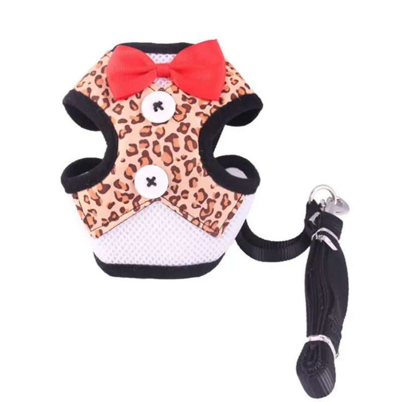 Harnais pour Bichon Maltais