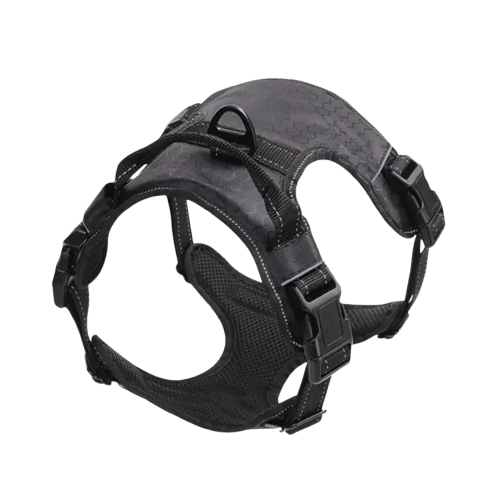 Harnais pour Cane Corso Transparent Background