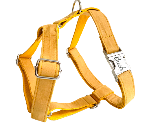 Harnais Chien Personnalisé Coton Jaune Transparent Background