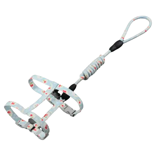 Harnais pour Chat Adulte Transparent Background