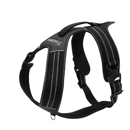 Harnais Truelove Forest Transparent Background