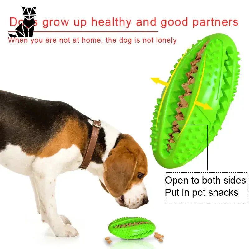 Chien appréciant un jouet en caoutchouc naturel du jeu éducatif Natural Rubber