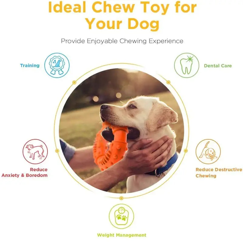 Grand chien avec un jouet soin dentaire étiqueté ’dog chew’ et ’dental toy for large dogs’