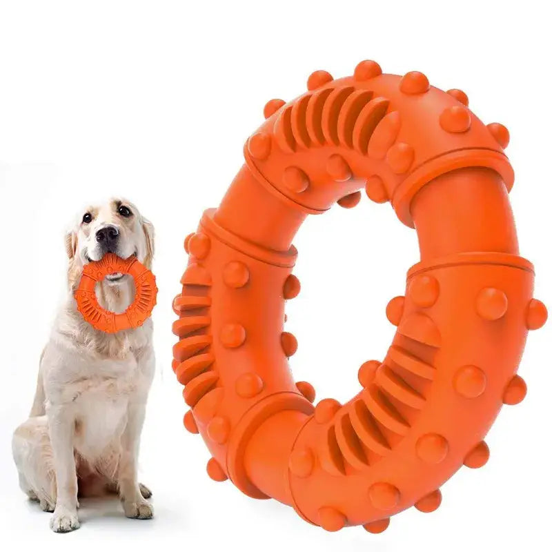 Le chien joue avec le jouet dentaire pour grands chiens afin de favoriser le soin dentaire et la santé des dents