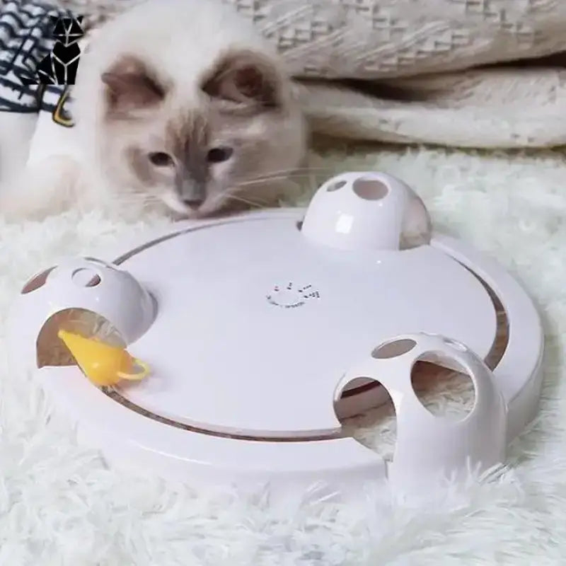 Jouet Interactif Attrape Souris: Divertissement Pour Votre Chat - Blanc